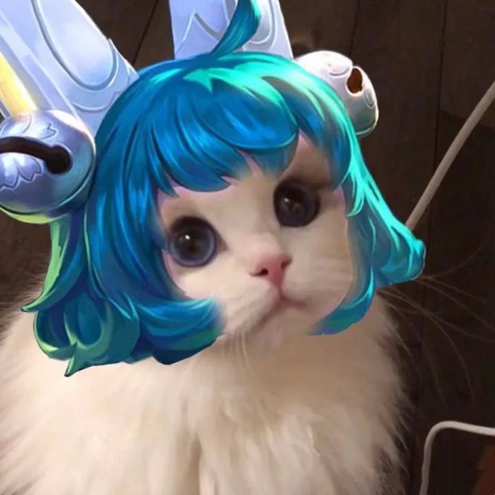 《王者荣耀》猫咪接头头像大全