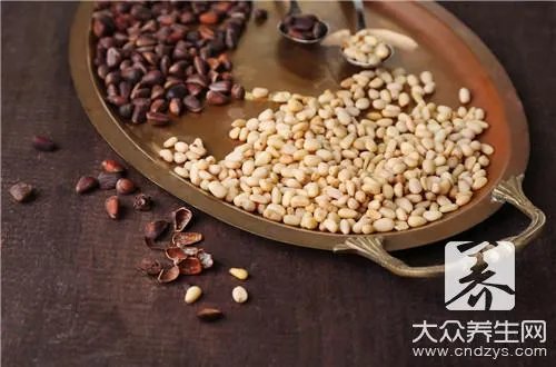 野生松子的功效与作用是什么？