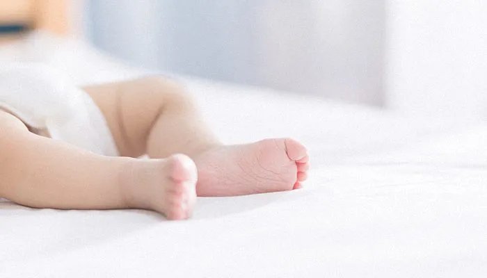 土字旁的字有哪些 土字偏旁的汉字