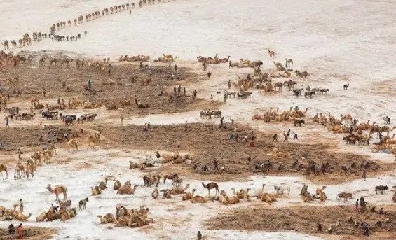 ETH是哪个国家的简写