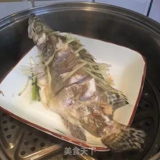 清蒸鲑鱼