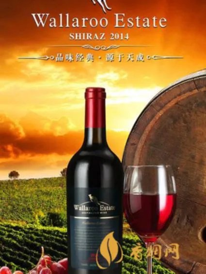 西拉干红价格多少钱一瓶：市面上的不同价位