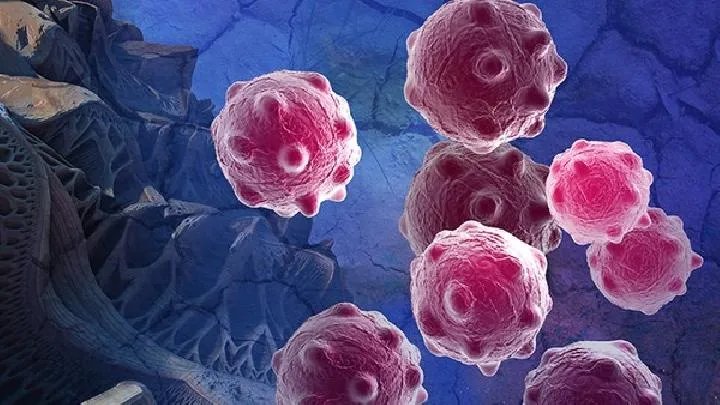 什么措施可预防土拉菌病