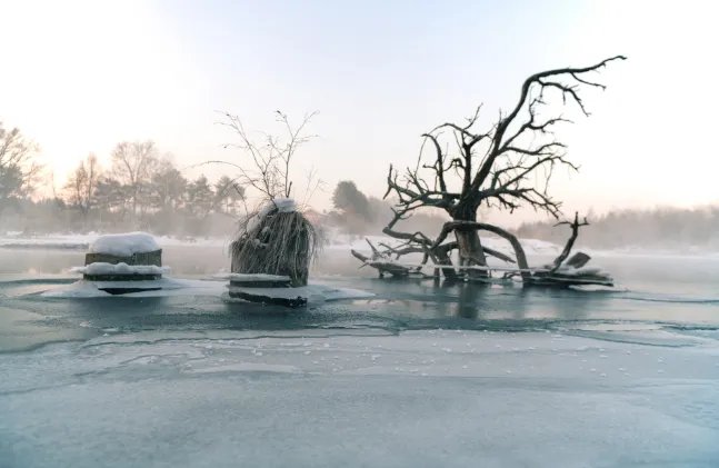 霜降是什么时候