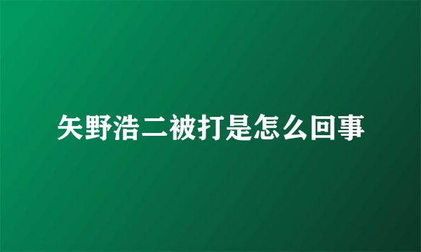 矢野浩二被打是怎么回事