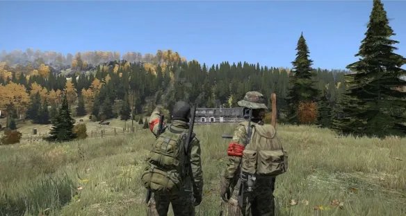 dayz有单人模式吗