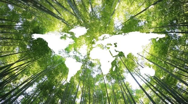 中国位于北半球还是南半球