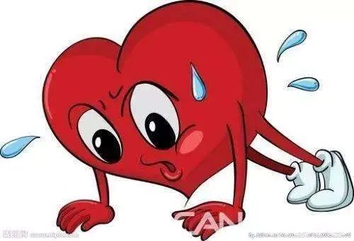 备受网友呵护的“小谢谢”去世了,其背后有着怎样的感人故事?