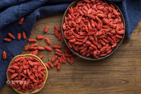 枸杞红枣泡酒的功效与作用