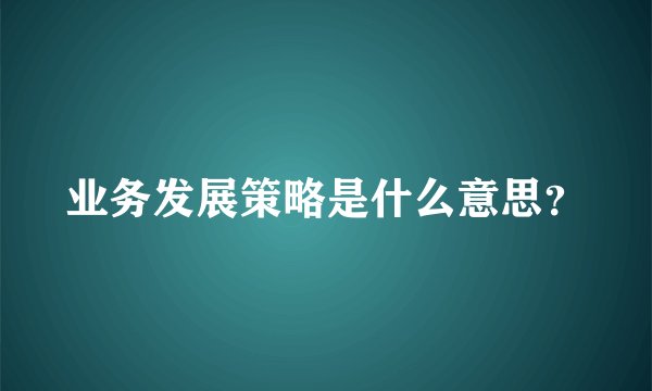 业务发展策略是什么意思?