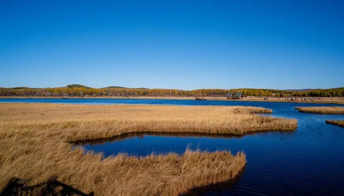塞罕坝林场在哪里 塞罕坝林场简介