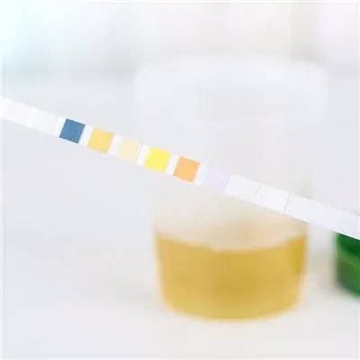 眼底血管硬化怎么办