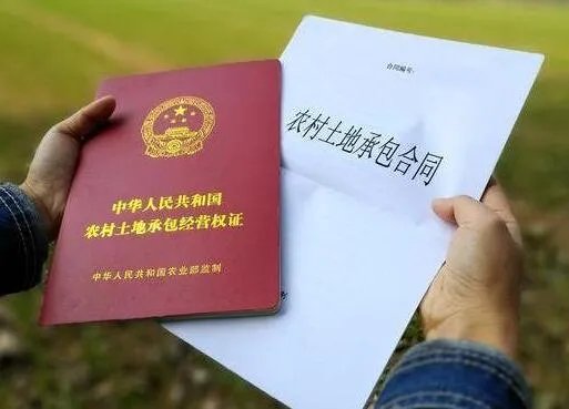 土地证号是哪个