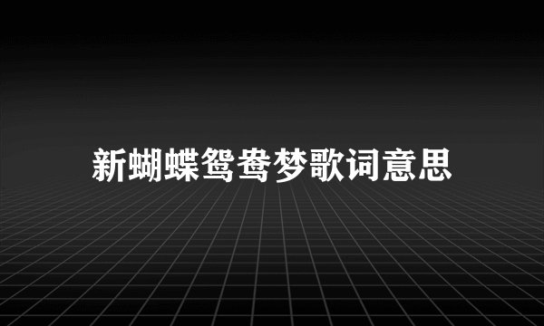 新蝴蝶鸳鸯梦歌词意思