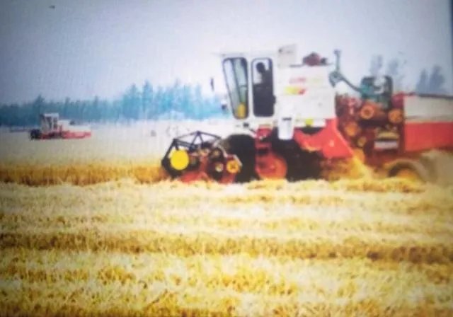 “三夏”粮食生产进展如何?有没有遇到什么问题?