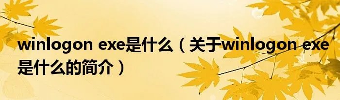 winlogon exe是什么（关于winlogon exe是什么的简介）