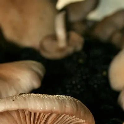 女人选择温泉种类需要对症