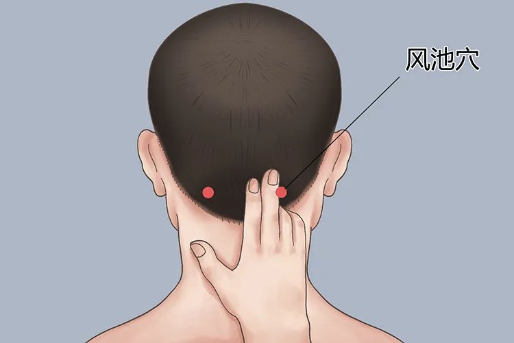 风池的功效与作用位置图