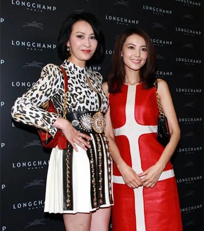 人体模特刘嘉玲是谁   刘嘉玲晒性感照