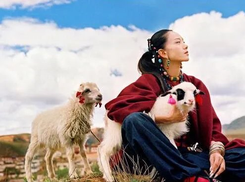 杨丽萍的老公是谁 杨丽萍和老公结婚照片