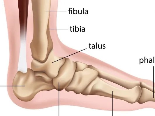 跟腱断裂康复怎么做