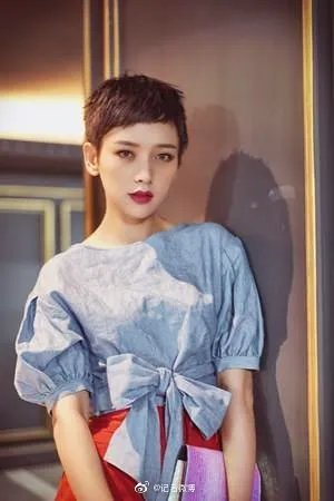 张思麟为什么离婚前妻张蕊资料照片 张思麟白百何李晓峰三角关系