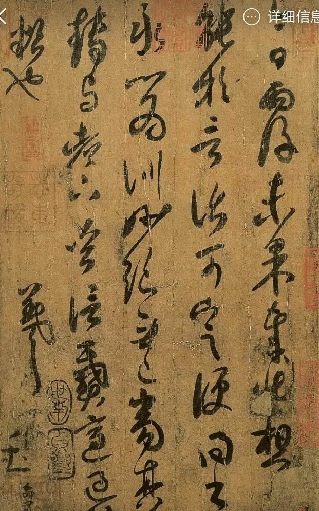 怎样评价董卿的书法作品？