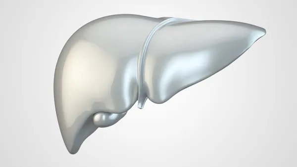 肝病患者的饮食