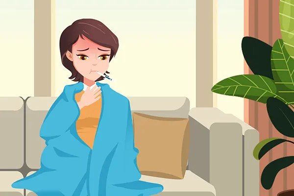 决明子的功效与作用及食用方法