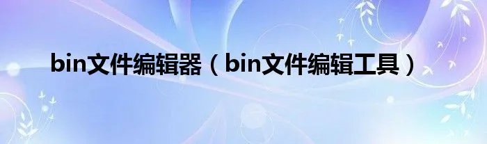 bin文件编辑器(bin文件编辑工具)