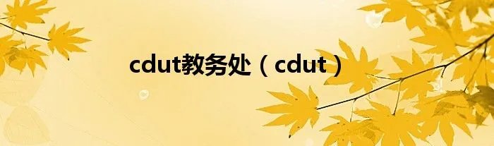cdut教务处（cdut）
