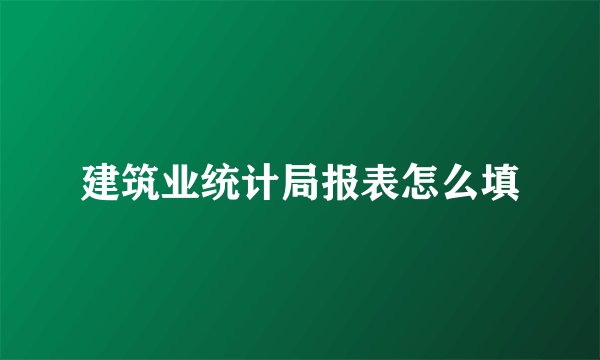 建筑业统计局报表怎么填