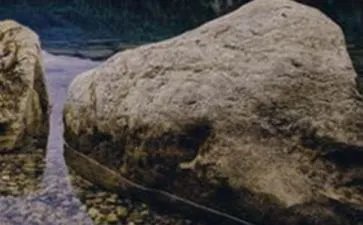 《奇怪的大石头》课文原文