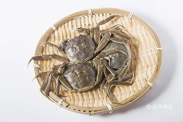 河蟹怎么保存不会死
