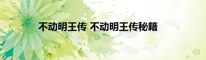 不动明王传 不动明王传秘籍