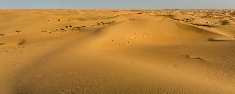 阿拉善是什么意思