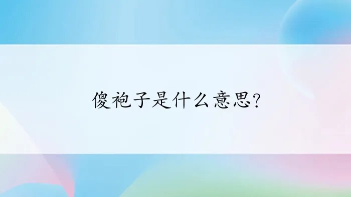 傻袍子是什么意思?