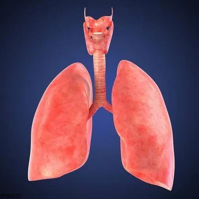 中晚期肺癌怎么办