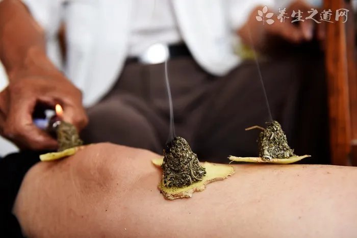 小白鼠吃什么 适合它生长的环境条件