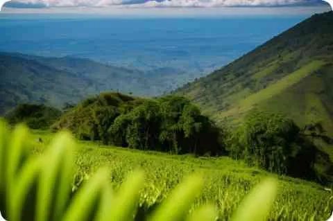 “展台”用英语怎么说，急