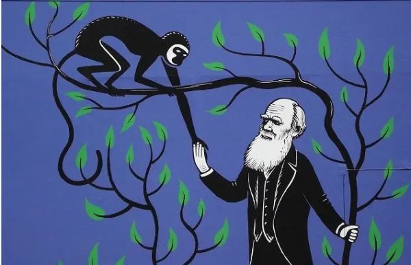 什么处处皆学问