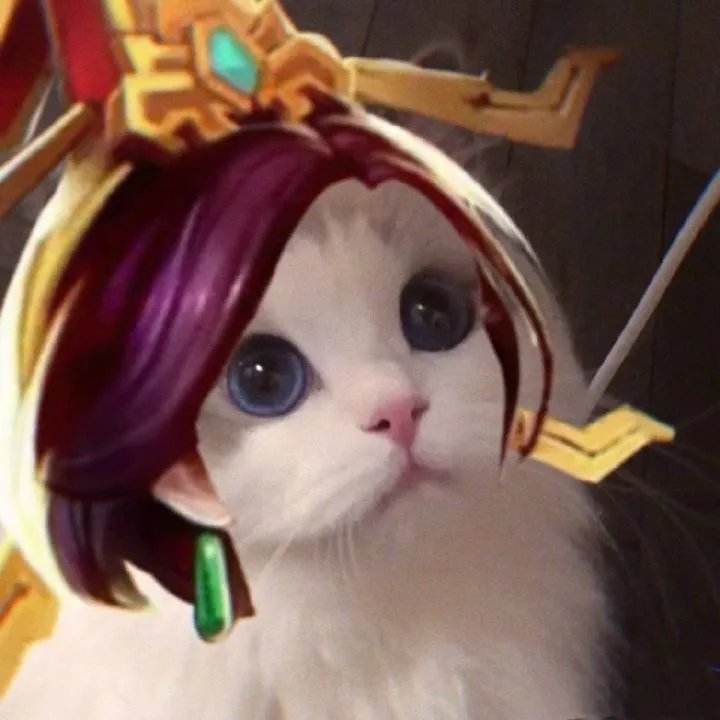 《王者荣耀》猫咪接头头像大全