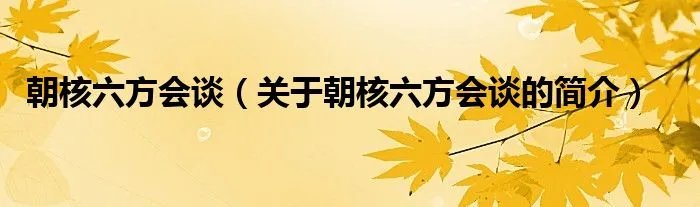 朝核六方会谈（关于朝核六方会谈的简介）