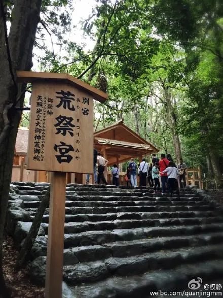 权静的人物简介