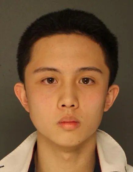 狄莺儿子在美被捕是真的吗?