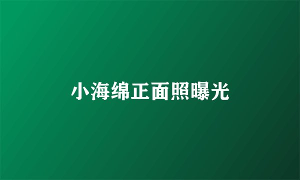 小海绵正面照曝光