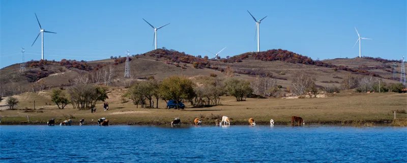 塞罕坝林场在哪里 塞罕坝林场简介