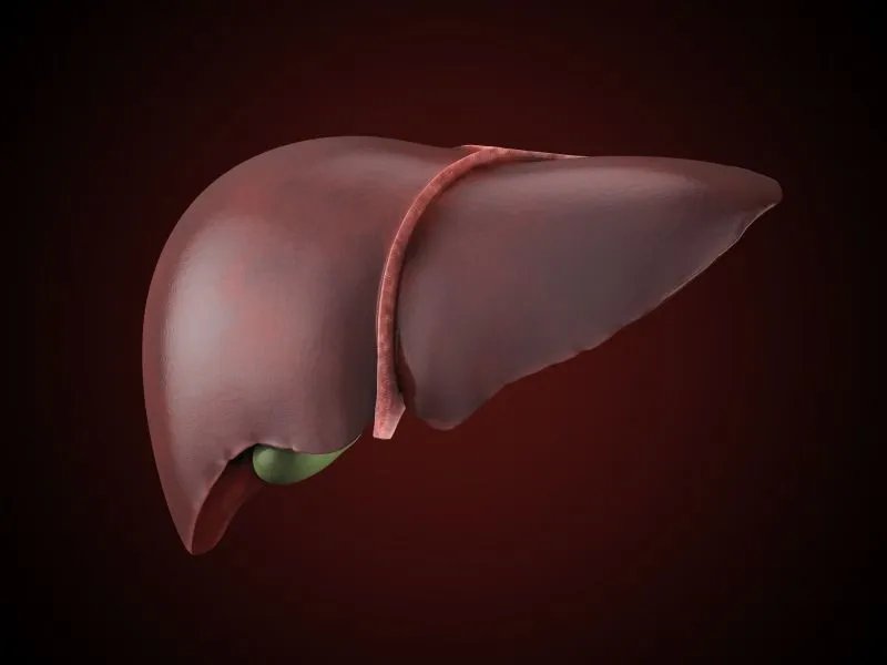 肝功能常规检测