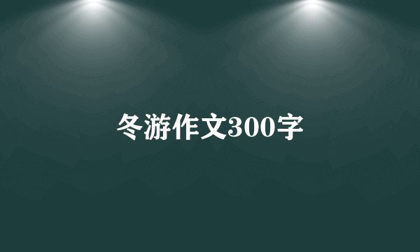 冬游作文300字