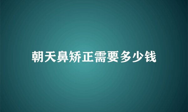 朝天鼻矫正需要多少钱
